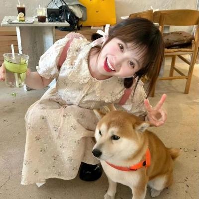 李祥和的婚事海报