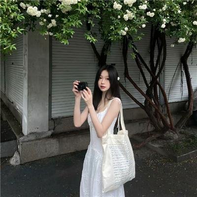 日光王朝海报